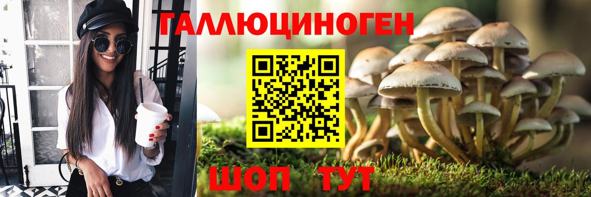 Губаха  Галлюциногенные грибы ЛСД  Вход с VPN 